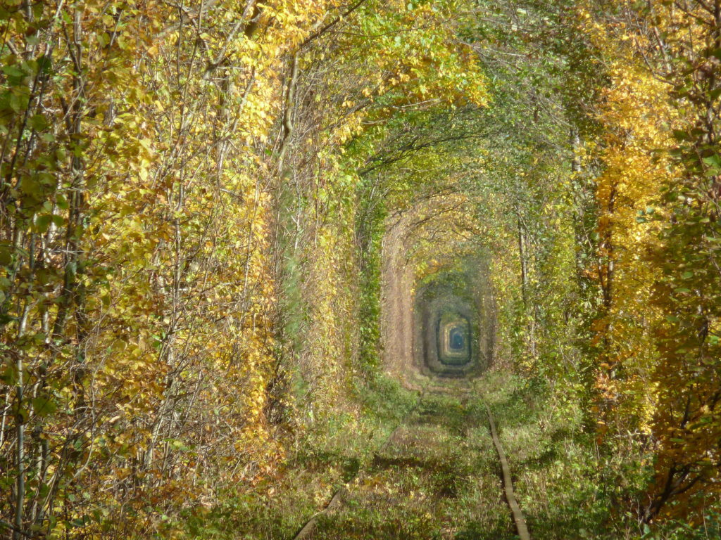 tunnel dell'amore