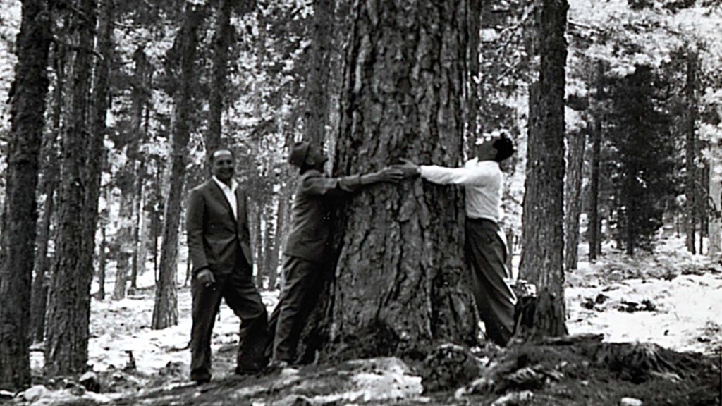 Famiglia Margaritelli - Foreste in Borgogna, Francia