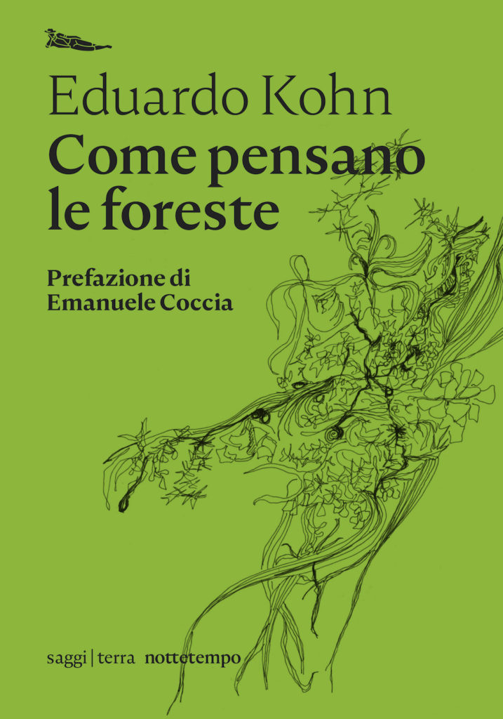 kohn come pensano le foreste