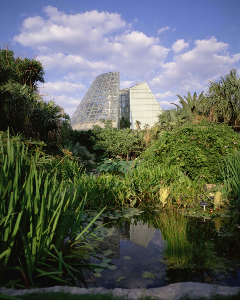 Lucille Halsen Conservatory, San Antonio, Texas (USA) 1982 (dettaglio del costruito)