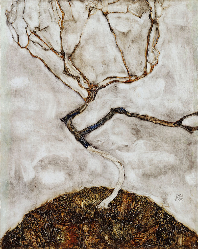 Albero