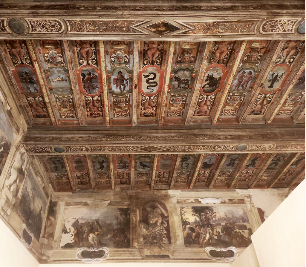 Il disastroso sisma dell’Emilia risalente al maggio 2012 colpì, con la forza brutale delle sue scosse, l’intero palazzo Provenzali, un edificio settecentesco