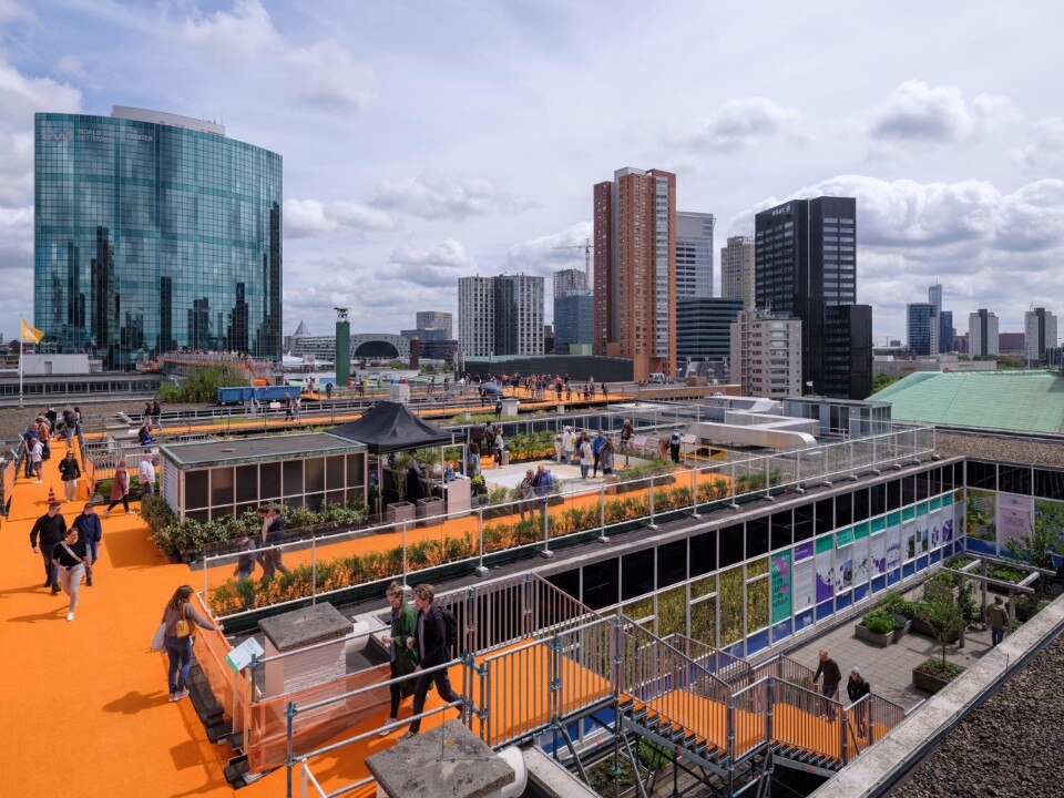 Rotterdam Rooftop