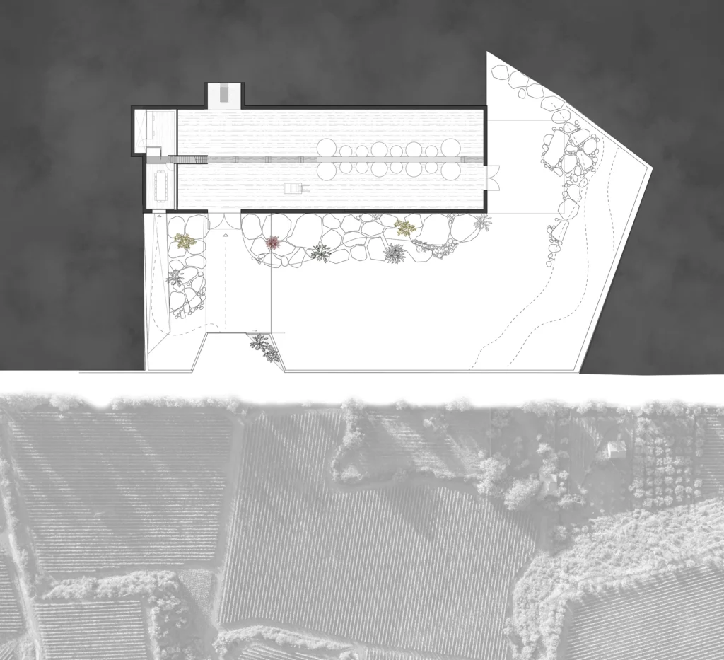 Cantina Graci | ACA Amore Campione Architettura