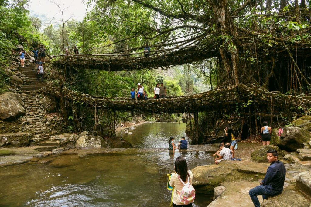 jingkieng jri Ponte Vivente Fatto Da Radici Di Albero In India