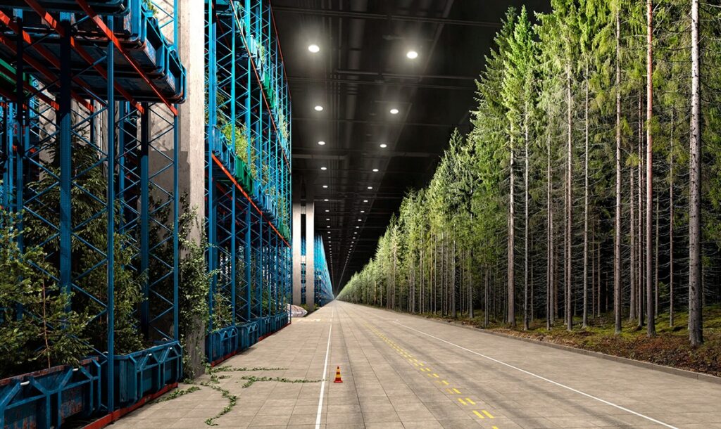 Trees, Time, Architecture! Design in Constant Transformation