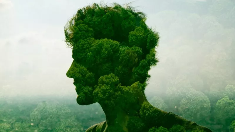 Le Piante Uomo E Natura