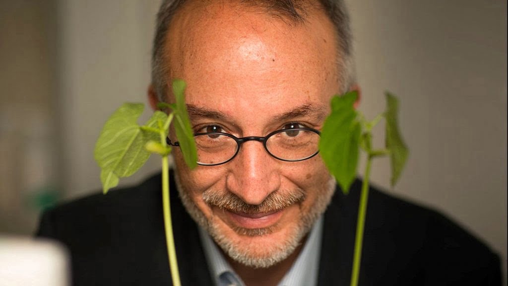 Stefano Mancuso