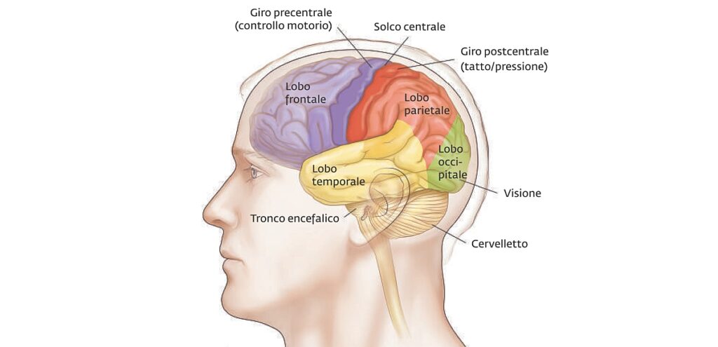 erik kandel arte e scienza