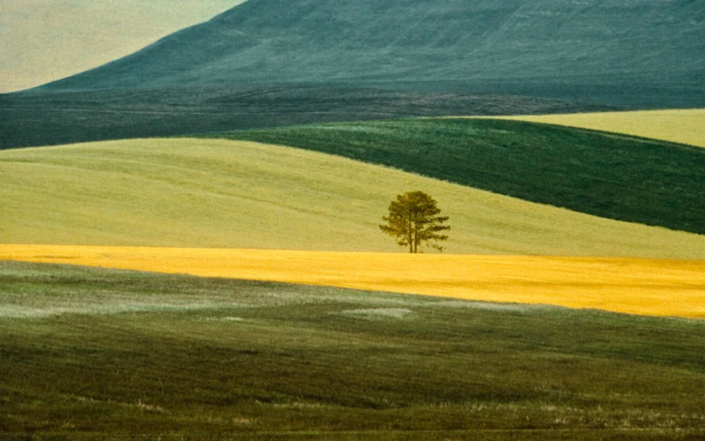 Franco Fontana, addio al maestro del colore che ha ridisegnato il paesaggio