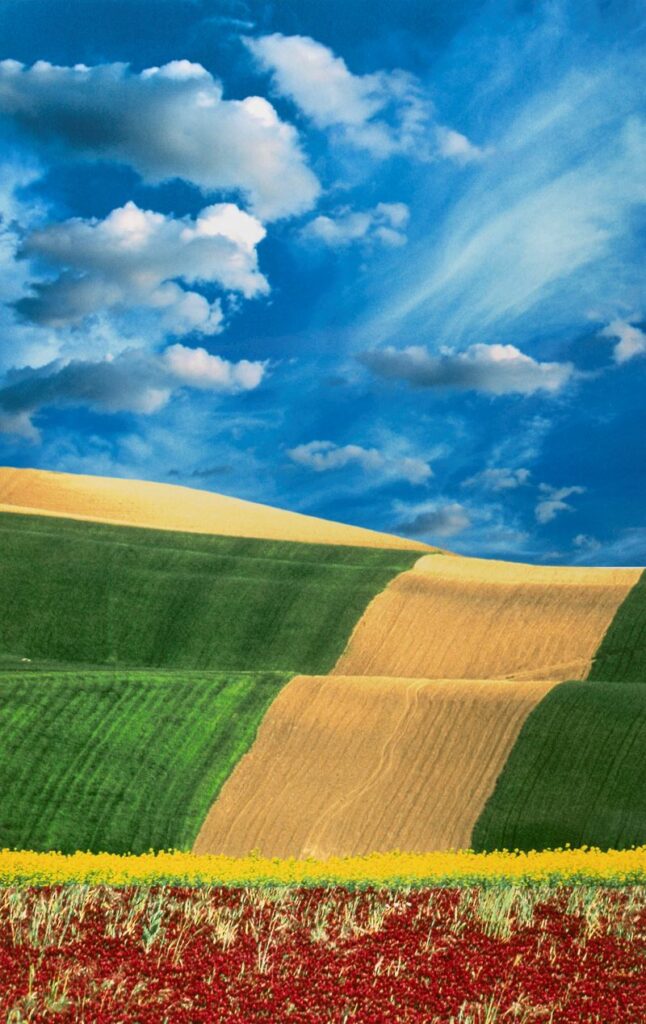 Franco Fontana