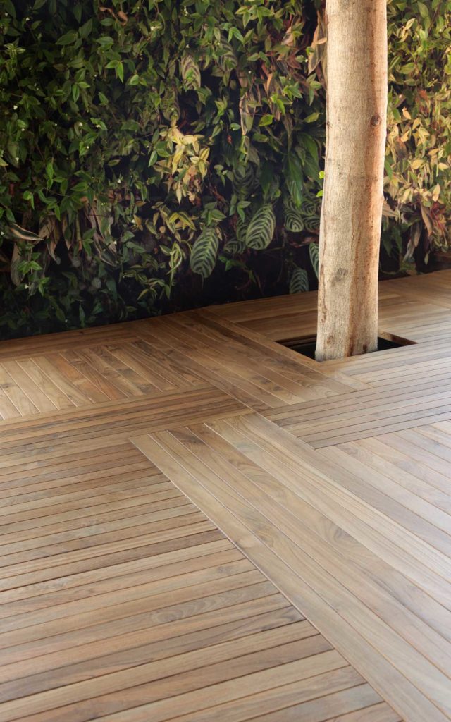 teak