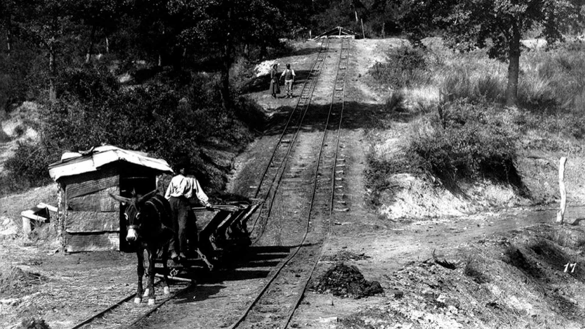 Recogida de carbón. Archivo fotográfico Alinari.