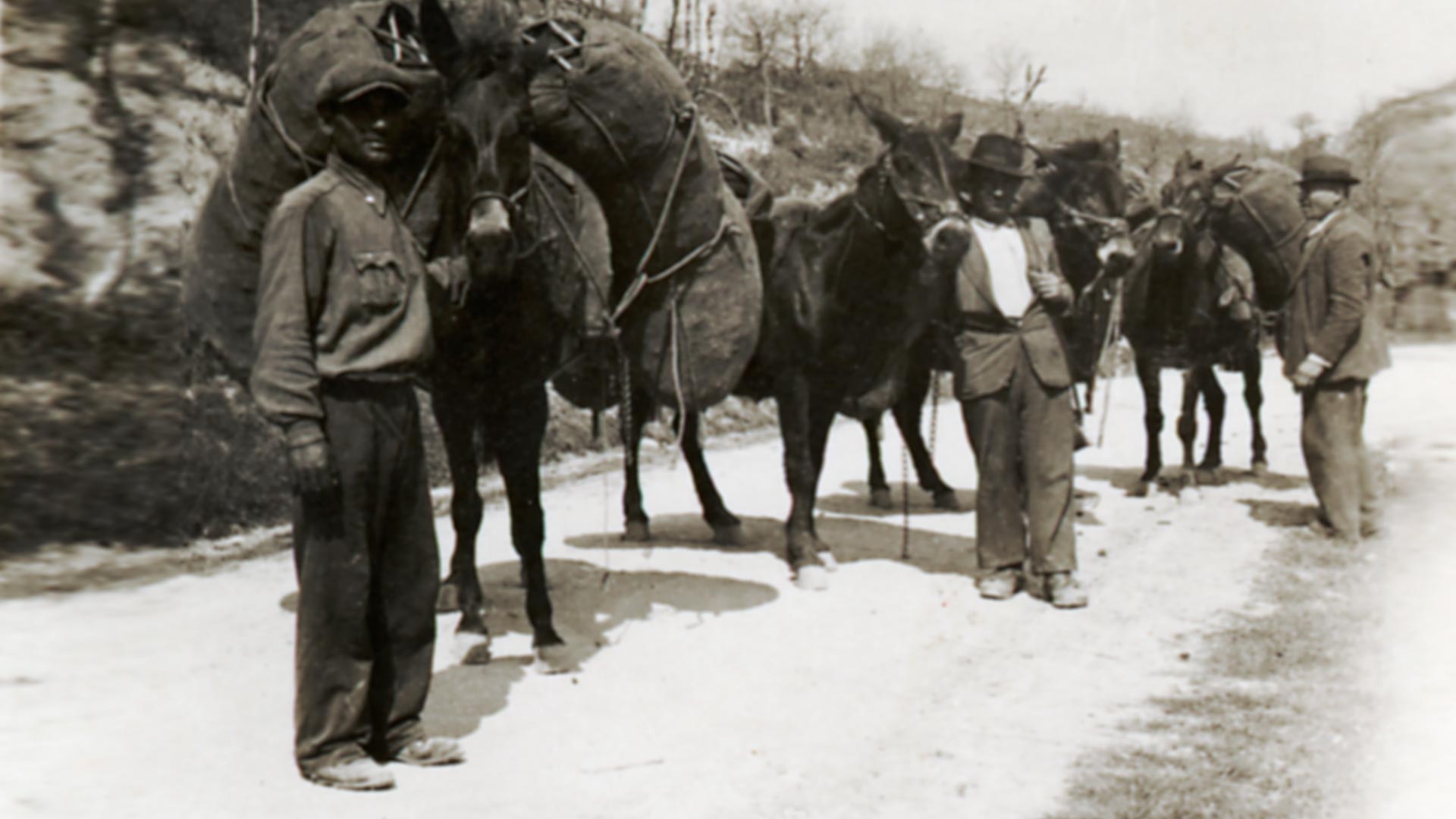 Forest charcoal production. Margaritelli's Photographic Archive.