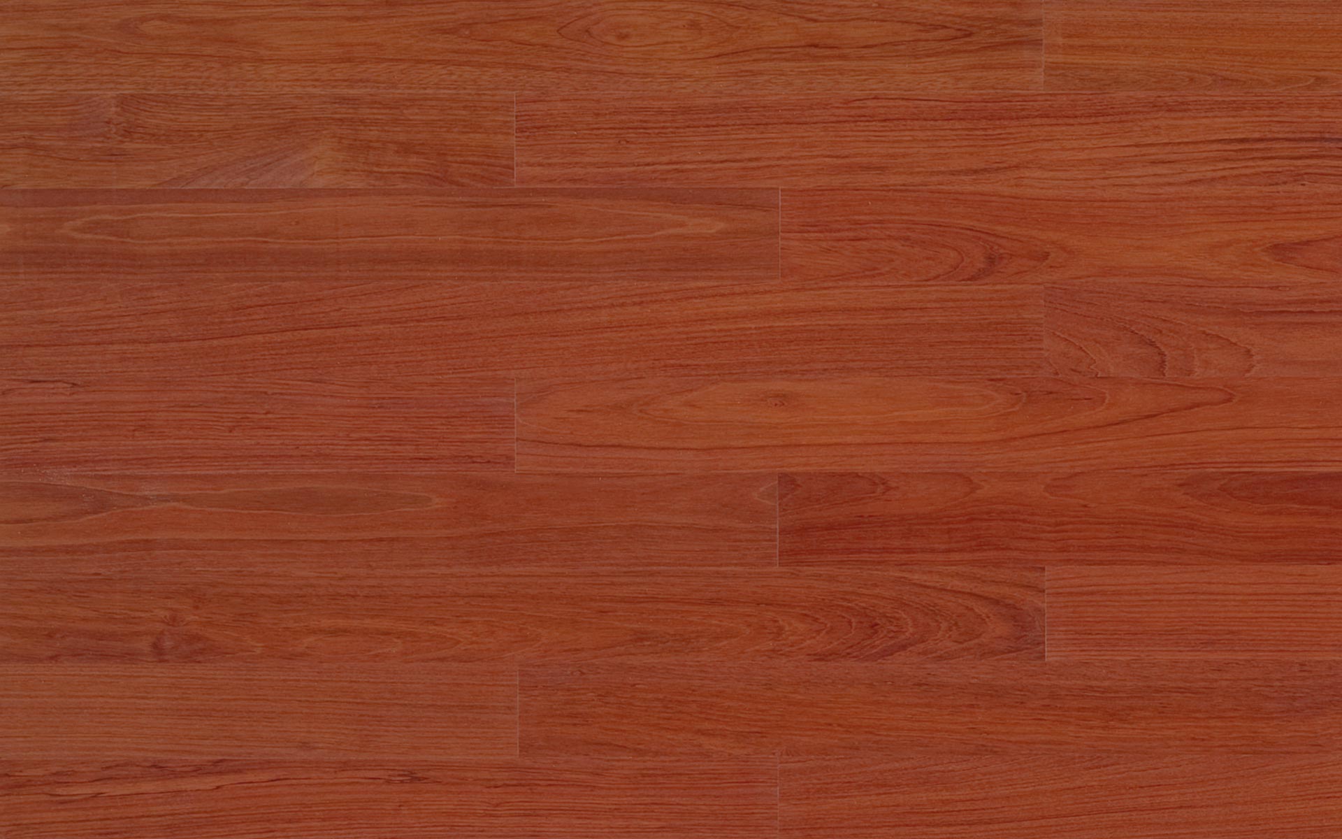 Jatoba