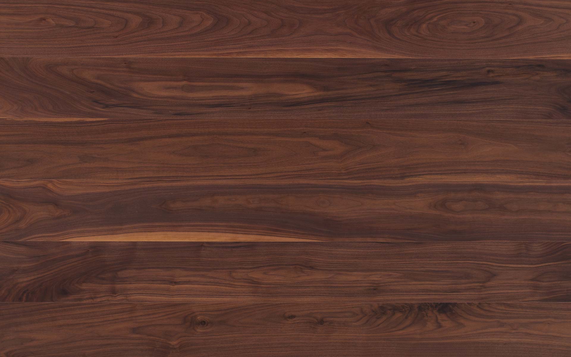 American Walnut