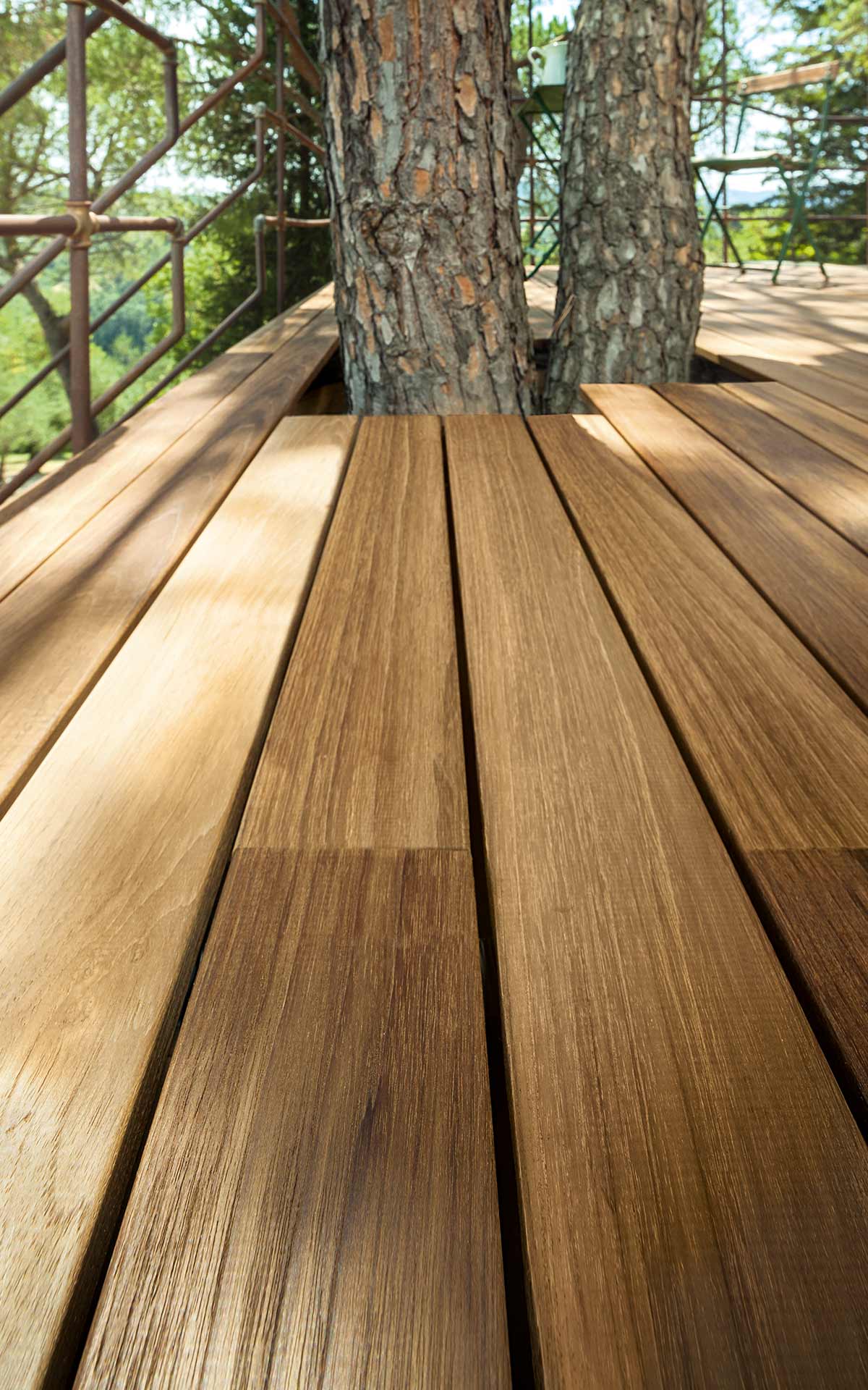 teak