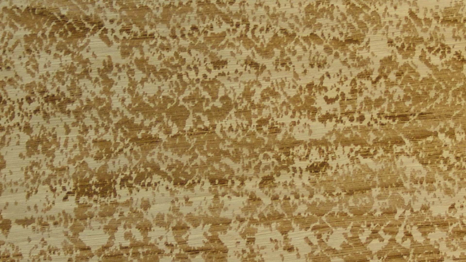 Undici Parquet Atelier D 1920×1200 Undici Parquet Atelie